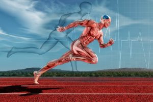 Gain Muscles at a Faster Rate Buy Nandrolone 100 Online