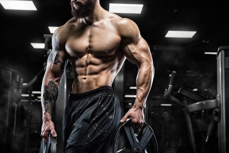 Is There a Reason for You to Buy Ultima Enan 250 Online